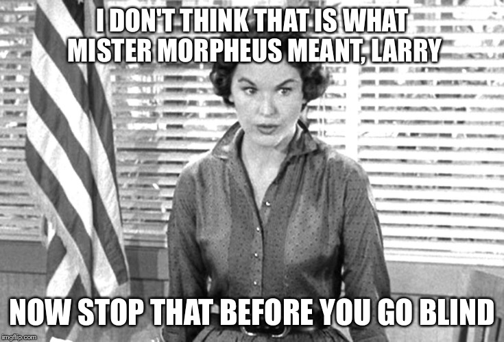 I DON'T THINK THAT IS WHAT MISTER MORPHEUS MEANT, LARRY NOW STOP THAT BEFORE YOU GO BLIND | made w/ Imgflip meme maker