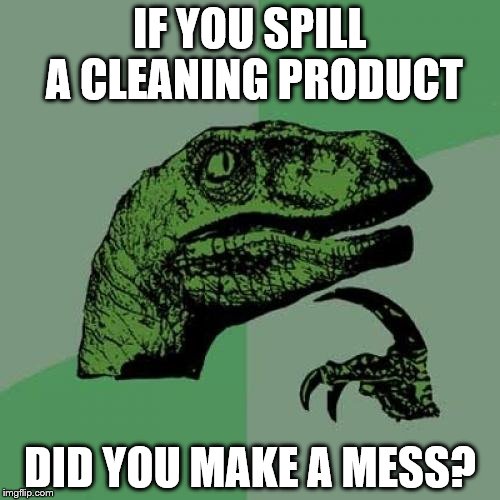 Philosoraptor Meme | IF YOU SPILL A CLEANING PRODUCT DID YOU MAKE A MESS? | image tagged in memes,philosoraptor | made w/ Imgflip meme maker