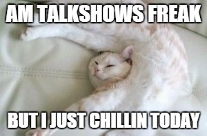 relaxed cat | AM TALKSHOWS FREAK BUT I JUST CHILLIN TODAY | image tagged in relaxed cat | made w/ Imgflip meme maker