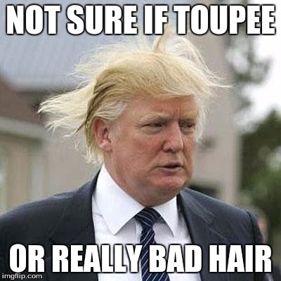 Donald Trump | NOT SURE IF TOUPEE OR REALLY BAD HAIR | image tagged in donald trump | made w/ Imgflip meme maker