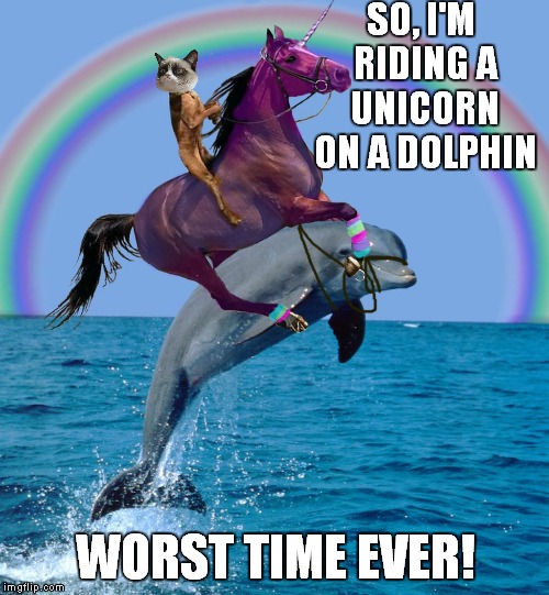 Can't undo Grumpy | SO, I'M RIDING A UNICORN ON A DOLPHIN WORST TIME EVER! | image tagged in grumpy cat,unicorn,dolphin,funny | made w/ Imgflip meme maker
