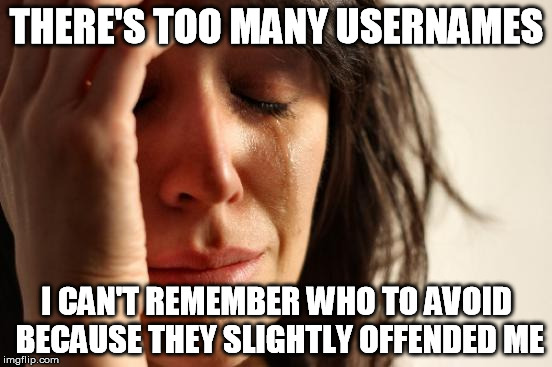 So many interactions, so little memory | THERE'S TOO MANY USERNAMES I CAN'T REMEMBER WHO TO AVOID BECAUSE THEY SLIGHTLY OFFENDED ME | image tagged in memes,first world problems,video games,forums,the internet,offended | made w/ Imgflip meme maker