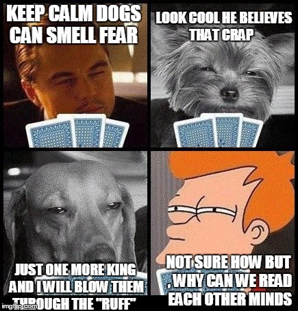poker face  | KEEP CALM DOGS CAN SMELL FEAR JUST ONE MORE KING AND I WILL BLOW THEM THROUGH THE "RUFF" LOOK COOL HE BELIEVES THAT CRAP NOT SURE HOW BUT ,  | image tagged in not sure if,poker,memes | made w/ Imgflip meme maker