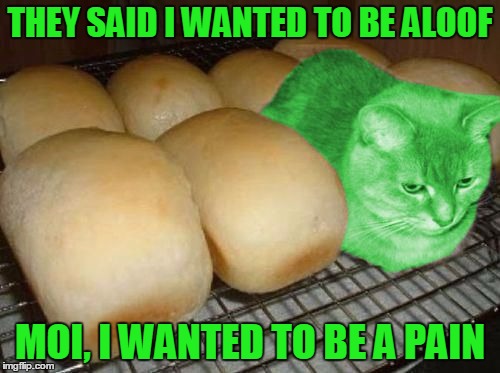 Memes baking | THEY SAID I WANTED TO BE ALOOF MOI, I WANTED TO BE A PAIN | image tagged in loaf raycat,memes | made w/ Imgflip meme maker