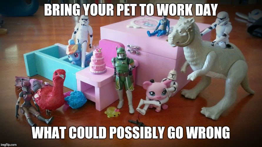 BRING YOUR PET TO WORK DAY WHAT COULD POSSIBLY GO WRONG | image tagged in death star pet day | made w/ Imgflip meme maker