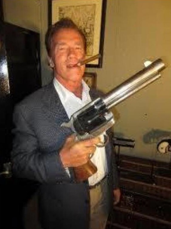 High Quality Arnold gun control Blank Meme Template