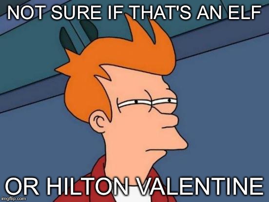 Futurama Fry | NOT SURE IF THAT'S AN ELF OR HILTON VALENTINE | image tagged in memes,futurama fry | made w/ Imgflip meme maker