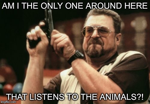 Am I The Only One Around Here | AM I THE ONLY ONE AROUND HERE THAT LISTENS TO THE ANIMALS?! | image tagged in memes,am i the only one around here | made w/ Imgflip meme maker