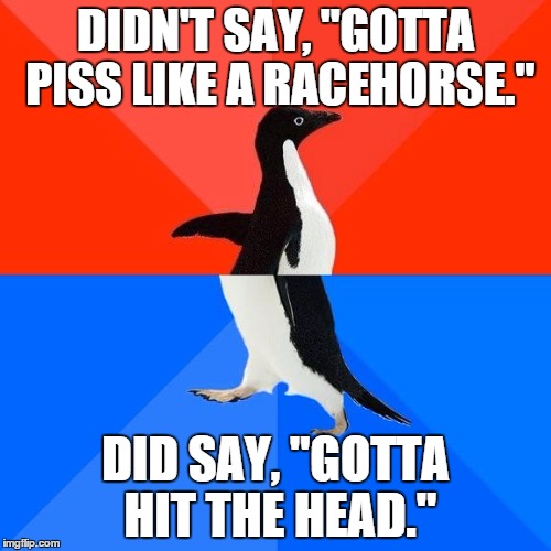 I really need to pee. | DIDN'T SAY, "GOTTA PISS LIKE A RACEHORSE." DID SAY, "GOTTA HIT THE HEAD." | image tagged in socially awesome to socially awkward penguin,funny,penguin | made w/ Imgflip meme maker