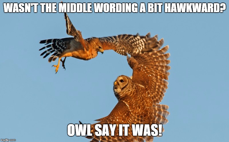 WASN'T THE MIDDLE WORDING A BIT HAWKWARD? OWL SAY IT WAS! | made w/ Imgflip meme maker