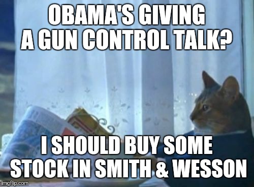 Wish I had thought of it sooner  | OBAMA'S GIVING A GUN CONTROL TALK? I SHOULD BUY SOME STOCK IN SMITH & WESSON | image tagged in memes,i should buy a boat cat | made w/ Imgflip meme maker