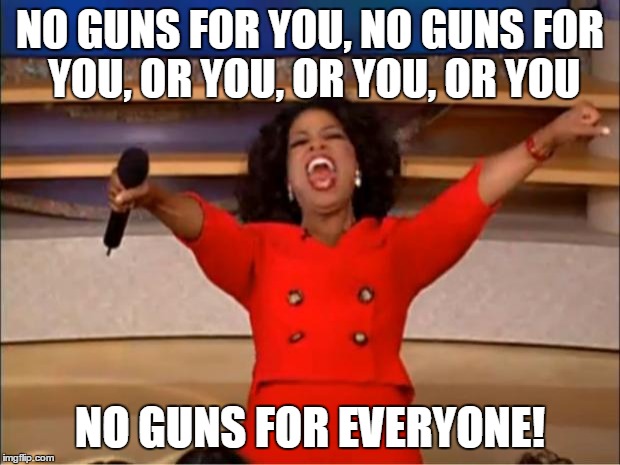 Oprah You Get A | NO GUNS FOR YOU, NO GUNS FOR YOU, OR YOU, OR YOU, OR YOU NO GUNS FOR EVERYONE! | image tagged in memes,oprah you get a | made w/ Imgflip meme maker