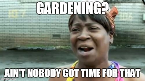 Ain't Nobody Got Time For That | GARDENING? AIN'T NOBODY GOT TIME FOR THAT | image tagged in memes,aint nobody got time for that | made w/ Imgflip meme maker
