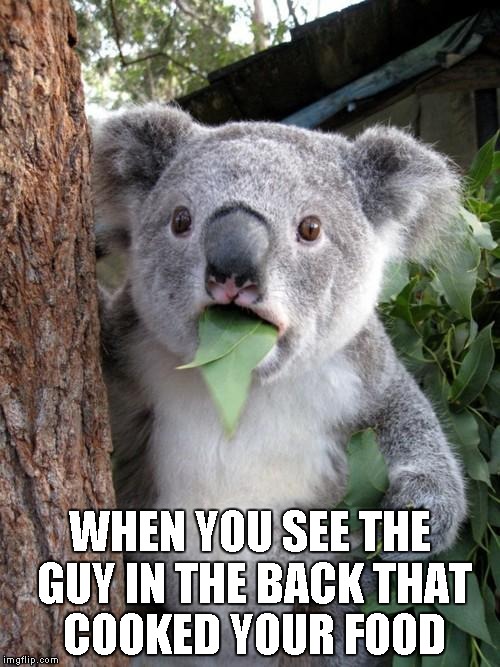 Surprised Koala Meme | WHEN YOU SEE THE GUY IN THE BACK THAT COOKED YOUR FOOD | image tagged in memes,surprised koala | made w/ Imgflip meme maker