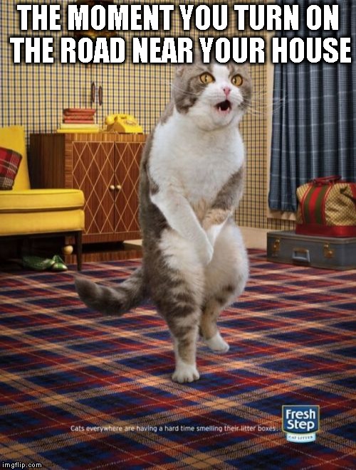 Gotta Go Cat Meme | THE MOMENT YOU TURN ON THE ROAD NEAR YOUR HOUSE | image tagged in memes,gotta go cat | made w/ Imgflip meme maker