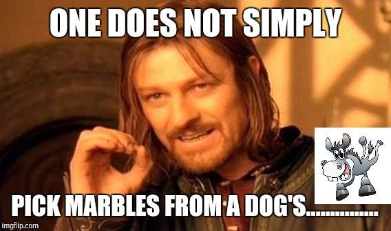 One Does Not Simply Meme | ONE DOES NOT SIMPLY PICK MARBLES FROM A DOG'S............... | image tagged in memes,one does not simply | made w/ Imgflip meme maker