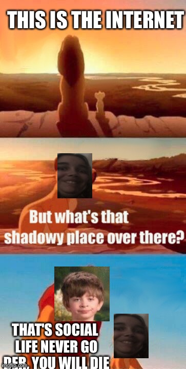 Simba Shadowy Place | THIS IS THE INTERNET THAT'S SOCIAL LIFE NEVER GO DER, YOU WILL DIE | image tagged in memes,simba shadowy place | made w/ Imgflip meme maker