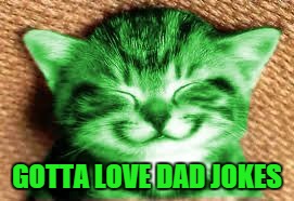 happy RayCat | GOTTA LOVE DAD JOKES | image tagged in happy raycat | made w/ Imgflip meme maker