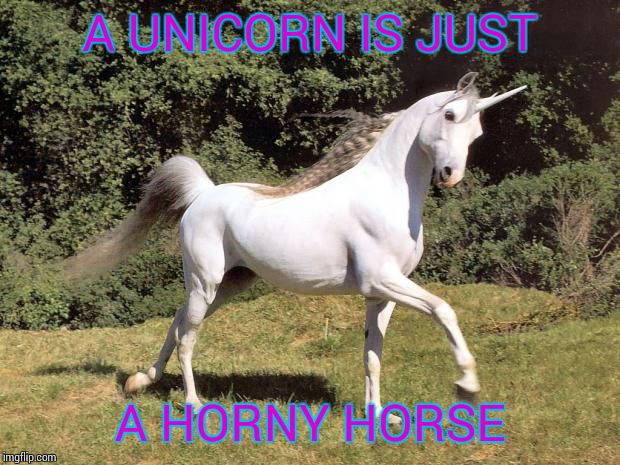Unicorns | A UNICORN IS JUST A HORNY HORSE | image tagged in unicorns | made w/ Imgflip meme maker