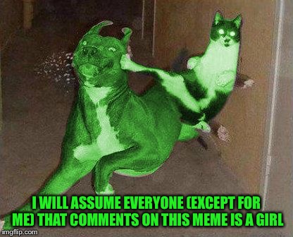 RayCat kicking RayDog | I WILL ASSUME EVERYONE (EXCEPT FOR ME) THAT COMMENTS ON THIS MEME IS A GIRL | image tagged in raycat kicking raydog | made w/ Imgflip meme maker