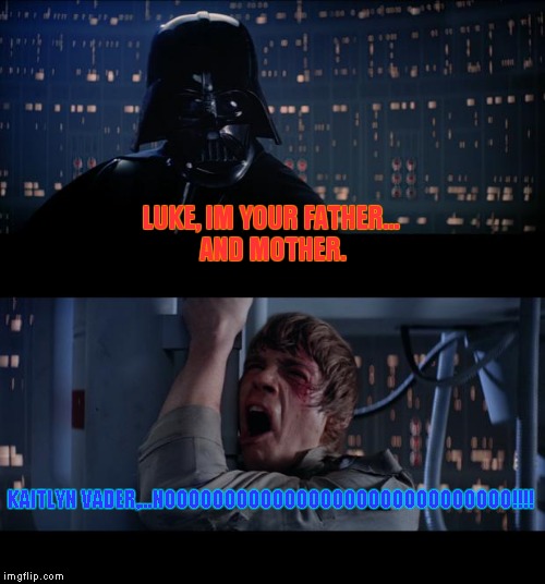 Star Wars No Meme | LUKE, IM YOUR FATHER... AND MOTHER. KAITLYN VADER,...NOOOOOOOOOOOOOOOOOOOOOOOOOOOOO!!!! | image tagged in memes,star wars no | made w/ Imgflip meme maker