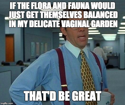 That Would Be Great Meme | IF THE FLORA AND FAUNA WOULD JUST GET THEMSELVES BALANCED IN MY DELICATE VA**NAL GARDEN THAT'D BE GREAT | image tagged in memes,that would be great,TrollXChromosomes | made w/ Imgflip meme maker