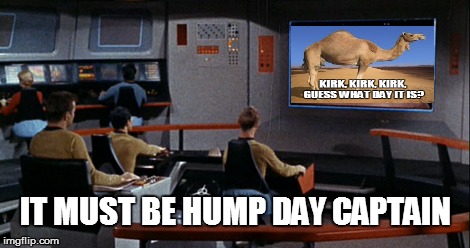 Star Trek Bridge | IT MUST BE HUMP DAY CAPTAIN | image tagged in star trek bridge | made w/ Imgflip meme maker
