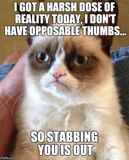 Grumpy Cat Meme | I GOT A HARSH DOSE OF REALITY TODAY, I DON'T HAVE OPPOSABLE THUMBS... SO STABBING YOU IS OUT | image tagged in memes,grumpy cat | made w/ Imgflip meme maker