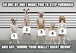 The Line Up | OK ONE BY ONE I WANT YOU TO STEP FORWARD AND SAY "GIMME YOUR WALLET RIGHT MEOW" | image tagged in memes | made w/ Imgflip meme maker