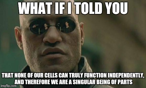 Matrix Morpheus Meme | WHAT IF I TOLD YOU THAT NONE OF OUR CELLS CAN TRULY FUNCTION INDEPENDENTLY, AND THEREFORE WE ARE A SINGULAR BEING OF PARTS | image tagged in memes,matrix morpheus | made w/ Imgflip meme maker