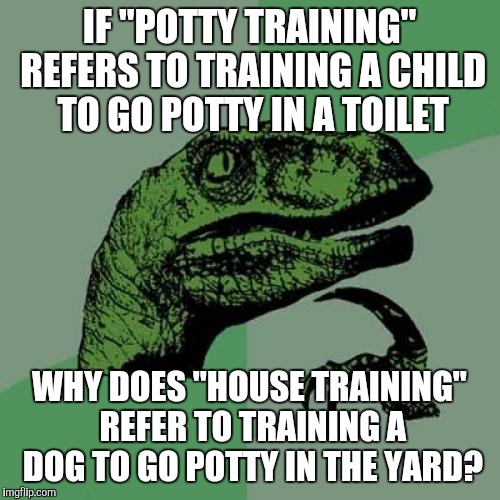 Philosoraptor Meme | IF "POTTY TRAINING" REFERS TO TRAINING A CHILD TO GO POTTY IN A TOILET WHY DOES "HOUSE TRAINING" REFER TO TRAINING A DOG TO GO POTTY IN THE  | image tagged in memes,philosoraptor | made w/ Imgflip meme maker