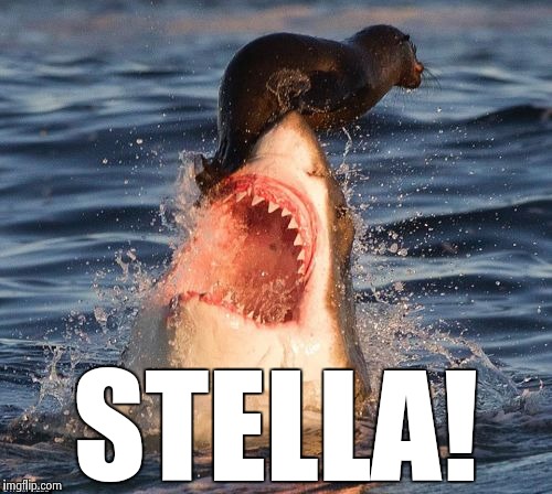 Travelonshark | STELLA! | image tagged in memes,travelonshark,funny memes,movie quotes,stella,humor | made w/ Imgflip meme maker