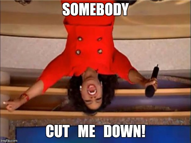 Okay, you're ugly! | SOMEBODY CUT   ME   DOWN! | image tagged in memes,oprah you get a | made w/ Imgflip meme maker