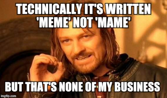 One Does Not Simply Meme | TECHNICALLY IT'S WRITTEN 'MEME' NOT 'MAME' BUT THAT'S NONE OF MY BUSINESS | image tagged in memes,one does not simply | made w/ Imgflip meme maker
