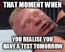 When you realise you have a test tomorrow | THAT MOMENT WHEN YOU REALISE YOU HAVE A TEST TOMORROW | image tagged in wwe brock lesnar,test,tomorrow,brock lesnar | made w/ Imgflip meme maker