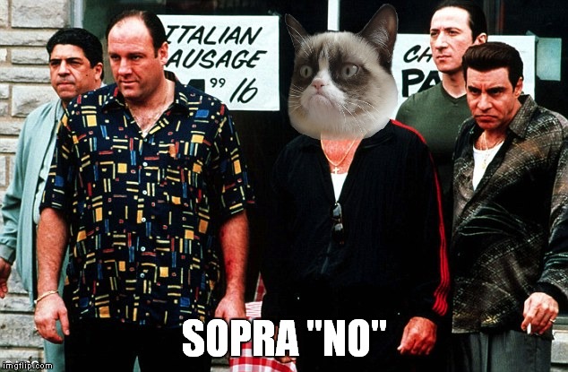 Grumpy is a made cat! | SOPRA "NO" | image tagged in grumpy cat,sopranos,funny | made w/ Imgflip meme maker