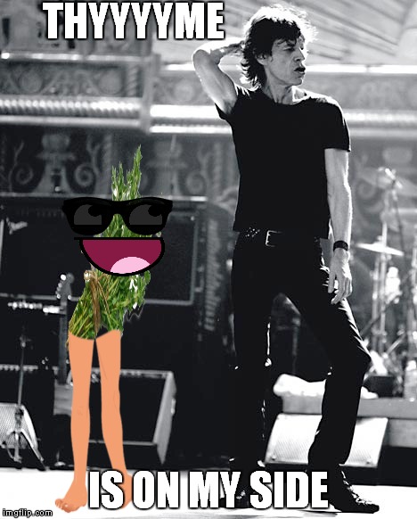 Thyme to get some satisfaction | THYYYYME IS ON MY SIDE | image tagged in rolling stones,mick jagger,time,funny | made w/ Imgflip meme maker
