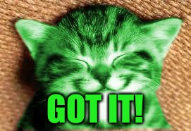happy RayCat | GOT IT! | image tagged in happy raycat | made w/ Imgflip meme maker