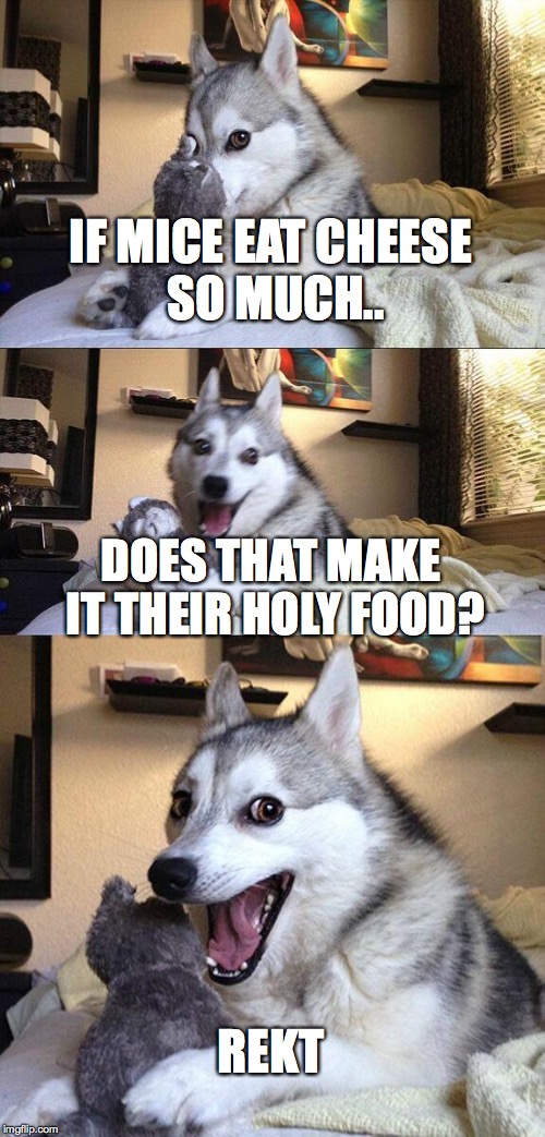 Has science gone 2 far?? | IF MICE EAT CHEESE SO MUCH.. DOES THAT MAKE IT THEIR HOLY FOOD? REKT | image tagged in memes,bad pun dog | made w/ Imgflip meme maker