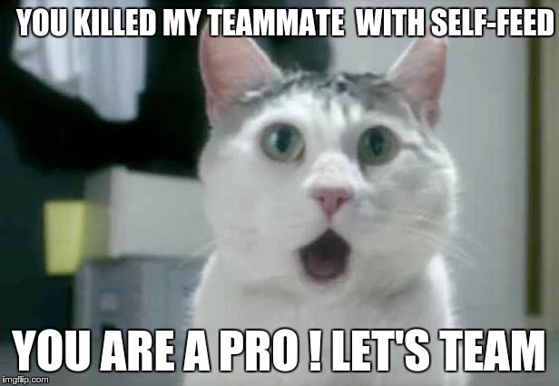 OMG Cat Meme | YOU KILLED MY TEAMMATE 
WITH SELF-FEED YOU ARE A PRO ! LET'S TEAM | image tagged in memes,omg cat,Agario | made w/ Imgflip meme maker