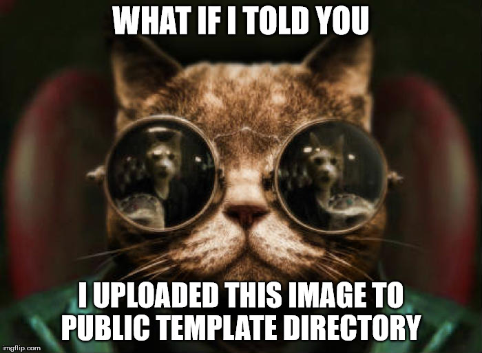 Morpheous Cat | WHAT IF I TOLD YOU I UPLOADED THIS IMAGE TO PUBLIC TEMPLATE DIRECTORY | image tagged in morpheous cat | made w/ Imgflip meme maker