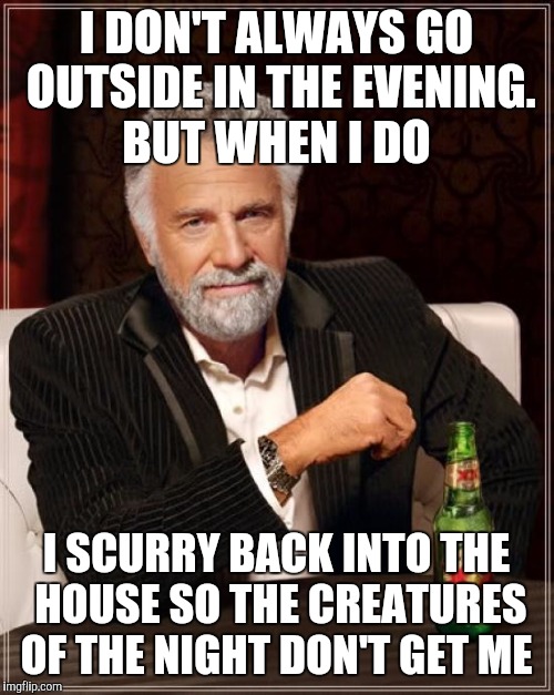 The Most Interesting Man In The World | I DON'T ALWAYS GO OUTSIDE IN THE EVENING. BUT WHEN I DO I SCURRY BACK INTO THE HOUSE SO THE CREATURES OF THE NIGHT DON'T GET ME | image tagged in memes,the most interesting man in the world | made w/ Imgflip meme maker
