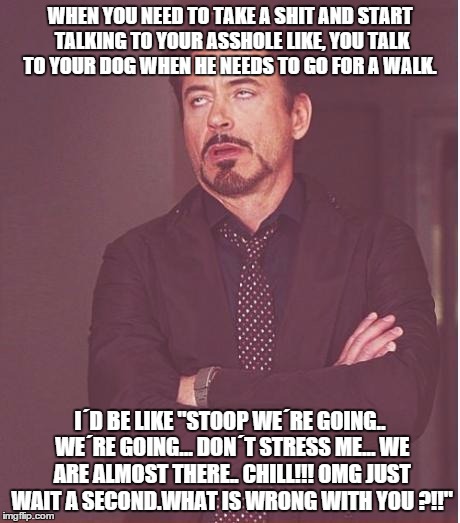 Face You Make Robert Downey Jr Meme | WHEN YOU NEED TO TAKE A SHIT AND START TALKING TO YOUR ASSHOLE LIKE, YOU TALK TO YOUR DOG WHEN HE NEEDS TO GO FOR A WALK. I´D BE LIKE "STOOP | image tagged in memes,face you make robert downey jr | made w/ Imgflip meme maker