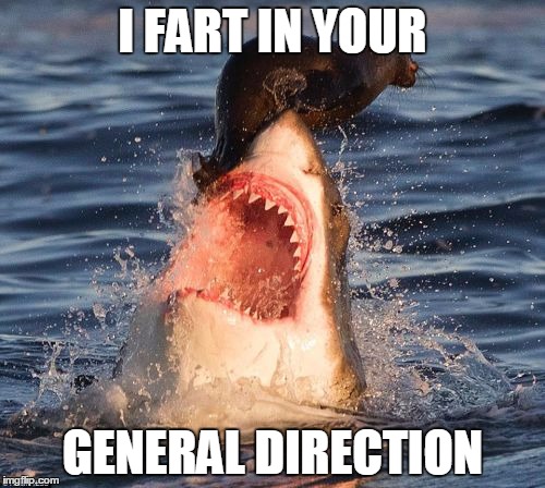 Travelonshark | I FART IN YOUR GENERAL DIRECTION | image tagged in memes,travelonshark | made w/ Imgflip meme maker