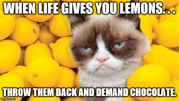 Grumpy Cat lemons | WHEN LIFE GIVES YOU LEMONS. . . THROW THEM BACK AND DEMAND CHOCOLATE. | image tagged in grumpy cat lemons | made w/ Imgflip meme maker