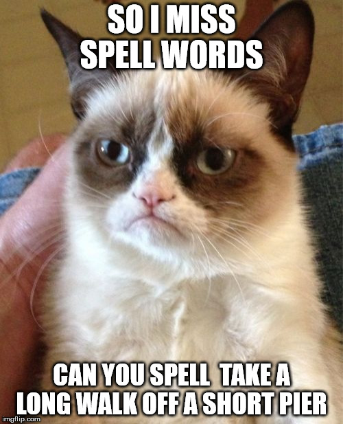 Grumpy Cat | SO I MISS SPELL WORDS CAN YOU SPELL  TAKE A LONG WALK OFF A SHORT PIER | image tagged in memes,grumpy cat | made w/ Imgflip meme maker