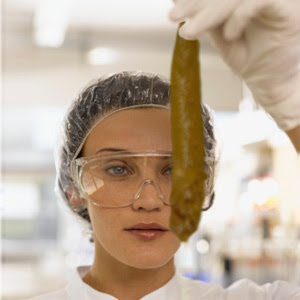 mas que merda é essa Blank Meme Template