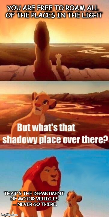 Simba Shadowy Place | YOU ARE FREE TO ROAM ALL OF THE PLACES IN THE LIGHT THAT'S THE DEPARTMENT OF MOTOR VEHICLES -- NEVER GO THERE. | image tagged in memes,simba shadowy place,funny memes | made w/ Imgflip meme maker