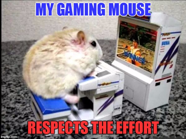 Gaming Mouse | MY GAMING MOUSE RESPECTS THE EFFORT | image tagged in gaming mouse,gaming,pc gaming,online gaming | made w/ Imgflip meme maker