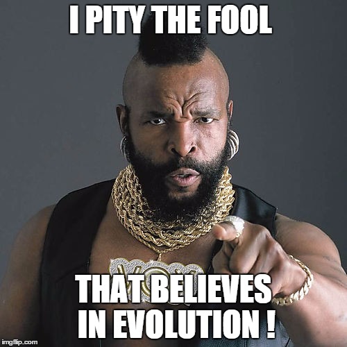 Mr T Pity The Fool Meme | I PITY THE FOOL THAT BELIEVES IN EVOLUTION ! | image tagged in memes,mr t pity the fool | made w/ Imgflip meme maker